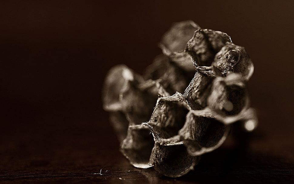 Cell,  Light,  Dark HD wallpaper