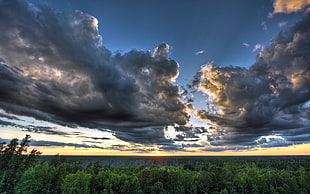 photo of clouds and trees during daytime