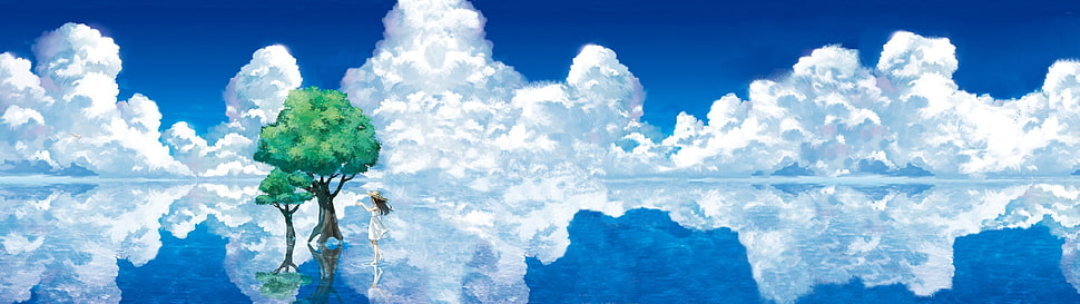 sky, clouds, trees, reflection HD wallpaper