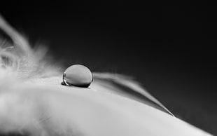 selective focus photography of silver-colored bead on textile