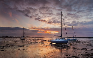 white sailboat on beach shore during sunset HD wallpaper