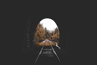 gray train railings, Tunnel, Railway, Autumn HD wallpaper