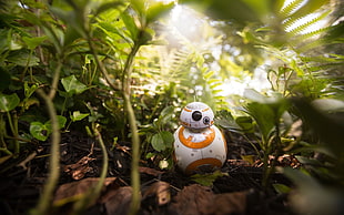 BB8 surrounded by plants HD wallpaper