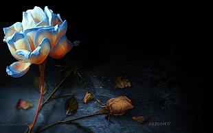 blue petaled flower digital painting, flowers
