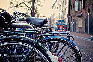 photo of blue city bike during daytime HD wallpaper