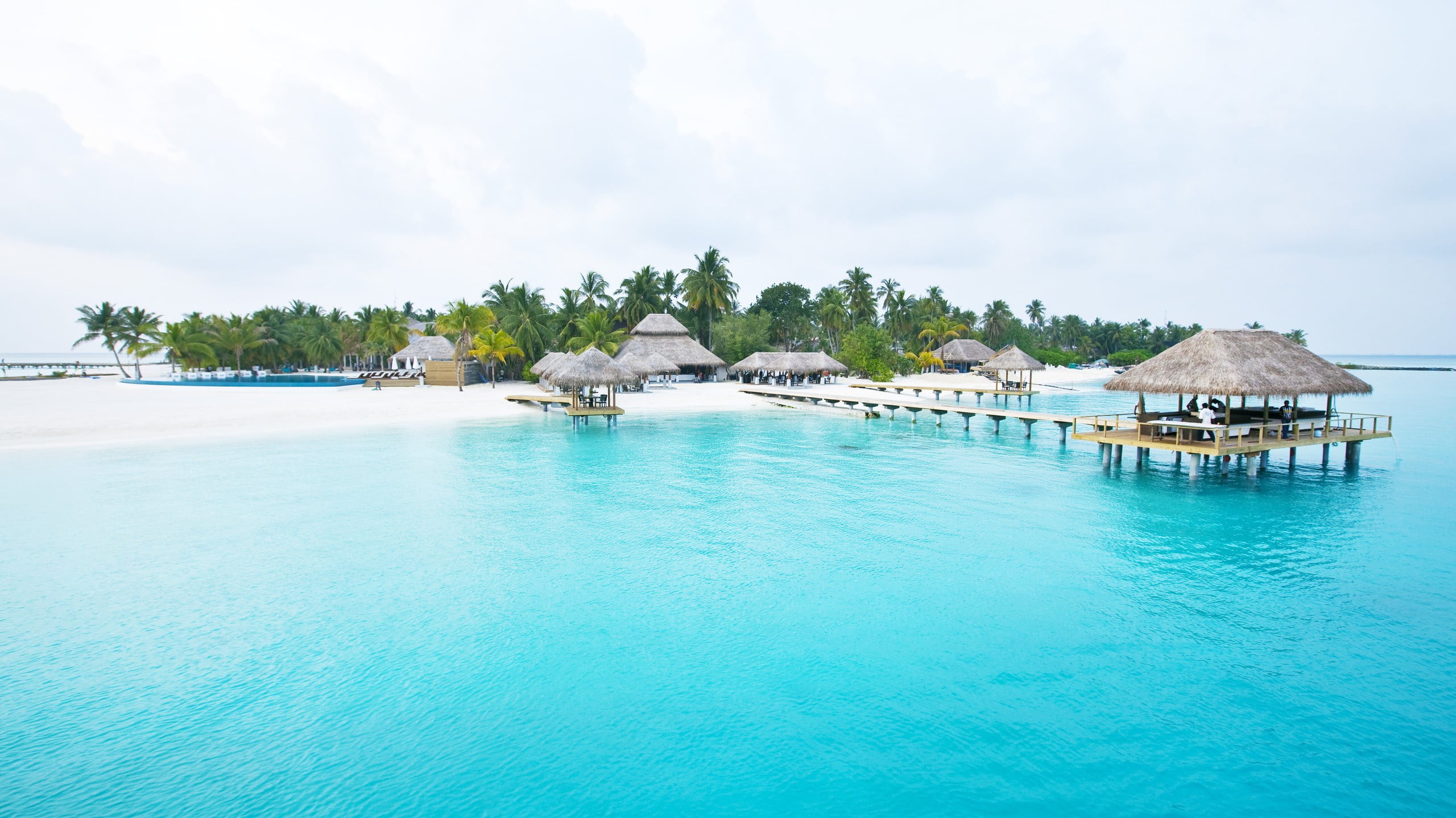 brown wooden dock, island, sea