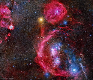 pink nebula artwork, Orion, constellation, Rigel, Saiph