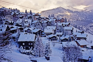 houses covered with snow, urban, snow, Switzerland, Alps