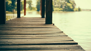 brown and black wooden bed frame, pier, wooden surface, depth of field