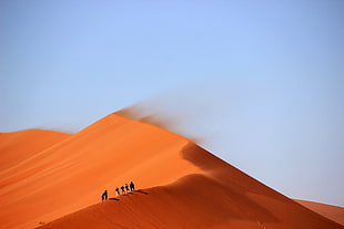 people walking on desert during daytime HD wallpaper