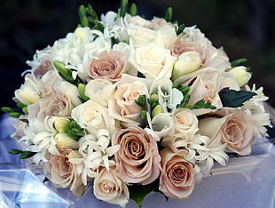 white and brown petaled flower bouquet