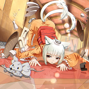 female anime character, cat girl, anime girls, cat ears, anime HD wallpaper