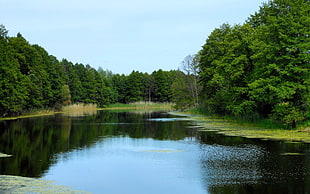 body of water, landscape, water, nature, trees