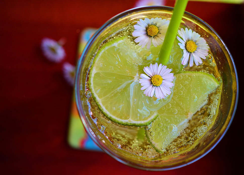 clear drinking glass, Cocktail, Lime, Ice HD wallpaper