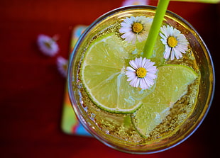 clear drinking glass, Cocktail, Lime, Ice HD wallpaper