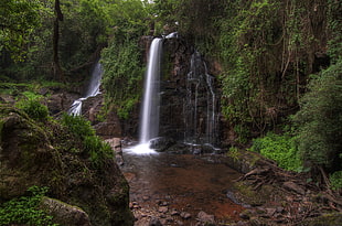 waterfalls surrounded with trees