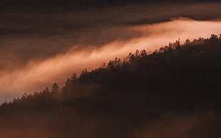 Smoky Mountains National Park HD wallpaper