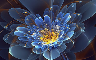 blue petal flower HD wallpaper