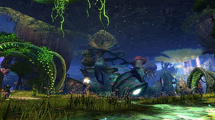 forest wallpaper, Guild Wars, video games, screen shot