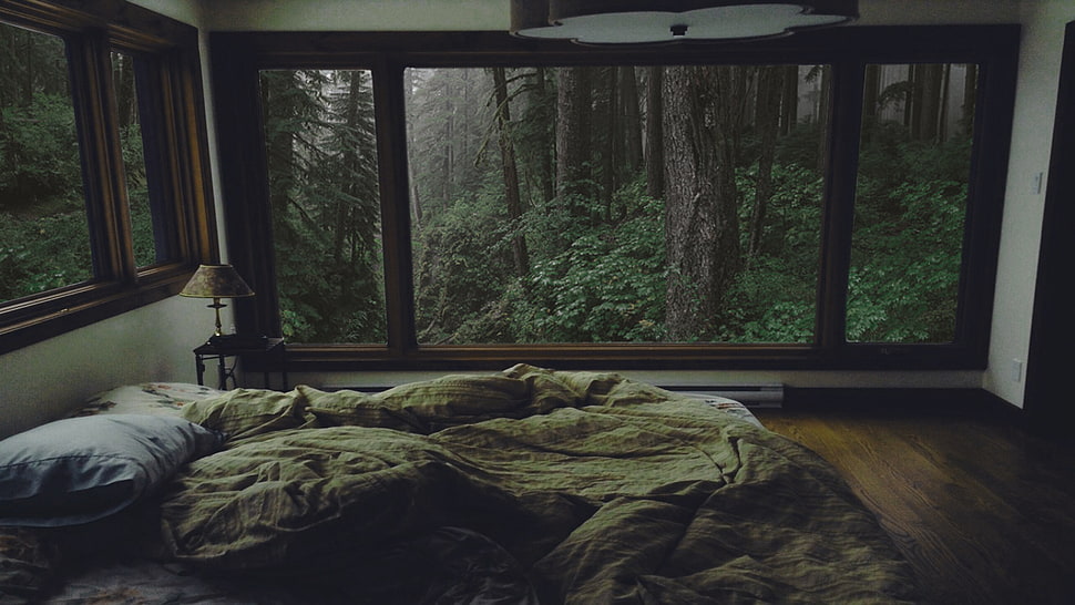 brown wooden framed glass window, bedroom, forest, interior HD wallpaper