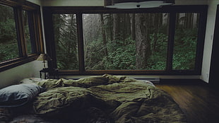 brown wooden framed glass window, bedroom, forest, interior