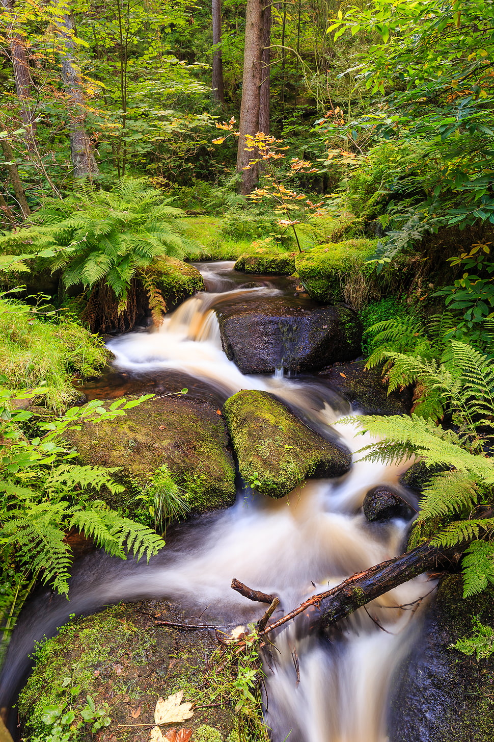 water flowing in river HD wallpaper