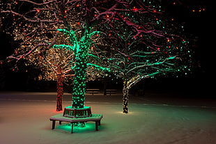 Tree,  Lights,  Night,  Ornament HD wallpaper