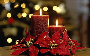two red pillar candles, flowers, candles HD wallpaper