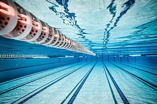 underwater photography of swimming pool, water, underwater, swimming pool, sports HD wallpaper