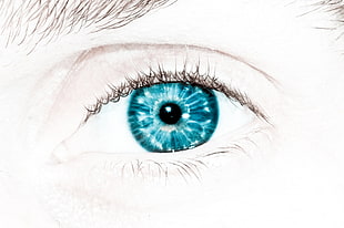 sketch of blue eye in closeup photography