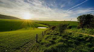 green grassland, photography, landscape, nature, sky HD wallpaper