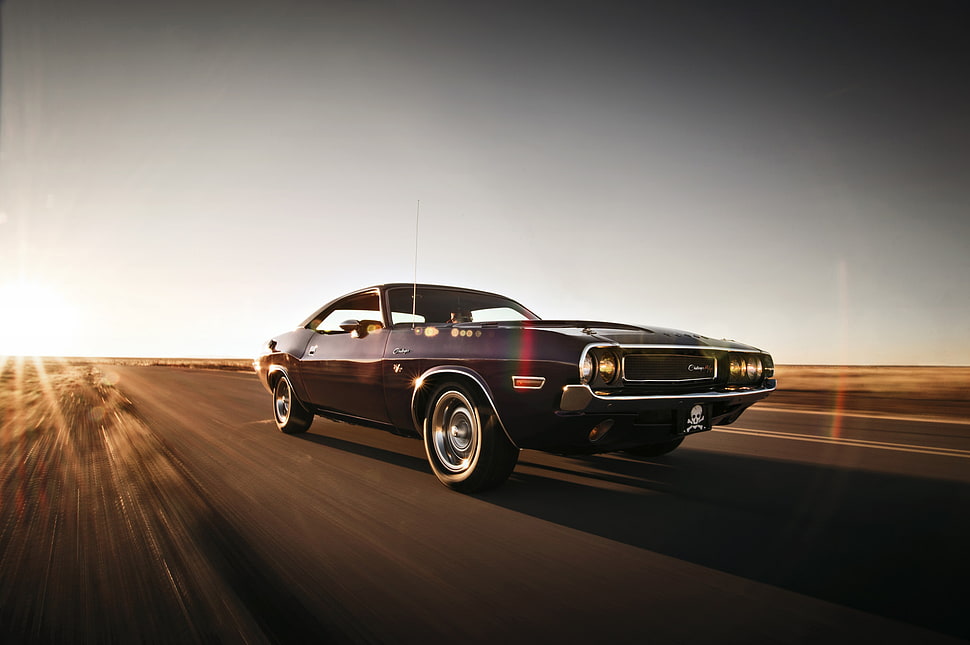 black muscle car HD wallpaper