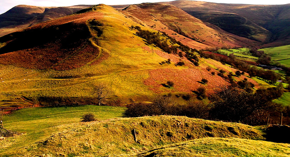 landscape photo of green and brown hills, talgarth HD wallpaper