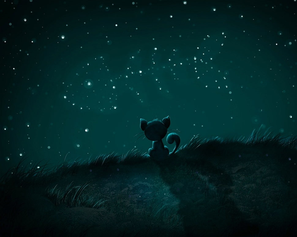 cat watching sky animated illustration, stars HD wallpaper
