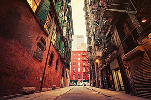 photo showing alley of the street HD wallpaper