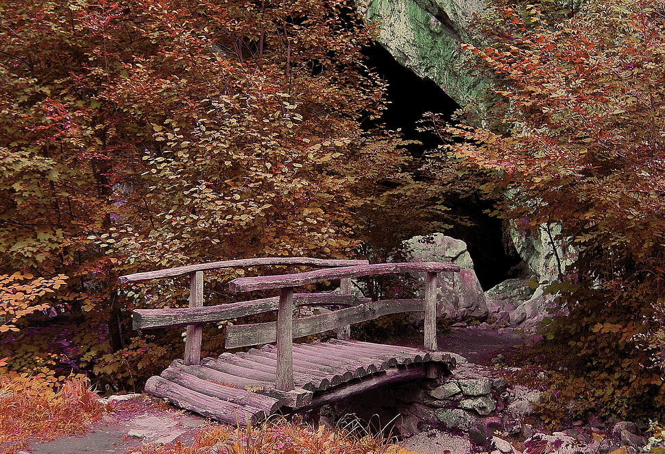 brown wooden bridge HD wallpaper