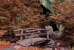 brown wooden bridge