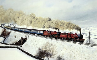 brown and blue steam train, nature, train, artwork, vehicle HD wallpaper