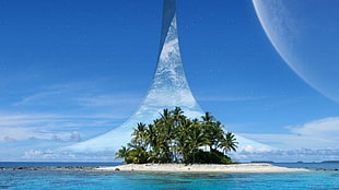 photo of islet with palm trees