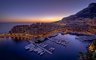 high-rise and low-rise buildings, city, cityscape, Monaco, boat HD wallpaper
