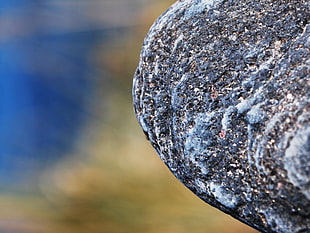 close photo of black and gray stone