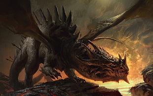 black and gray dragon digital wallpaper, dragon, artwork, fantasy art