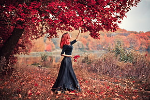 woman in black quarter-sleeved long dress picking red trees leaf during daytime