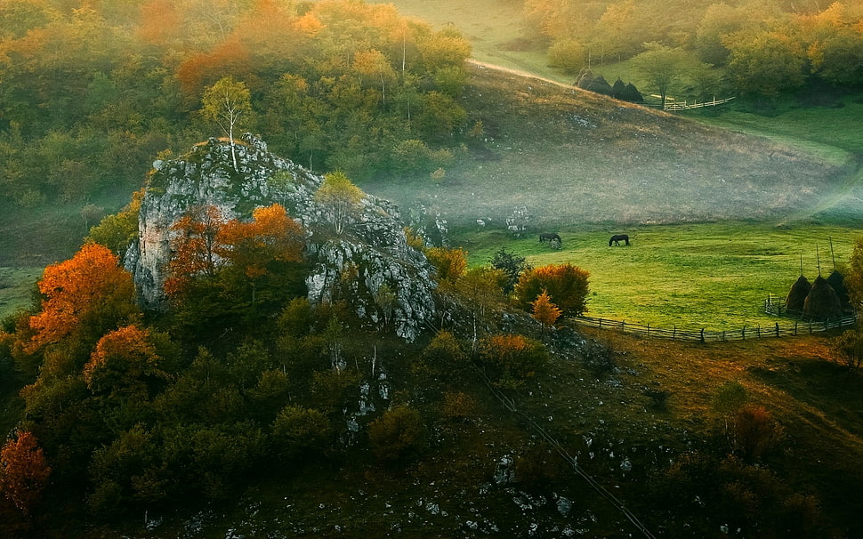 mountain and trees painting, landscape, nature, mist, fall HD wallpaper
