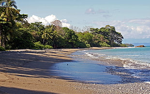 landscape photo of seashore