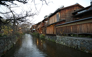 brown wooden houses, Asia, water, urban, building