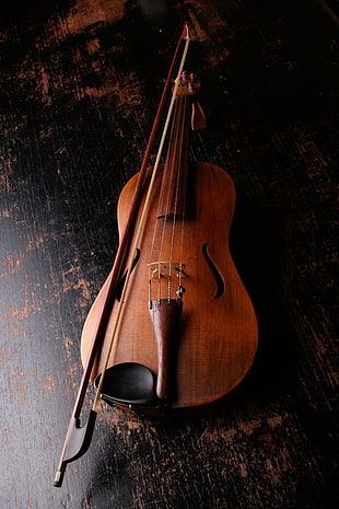closeup photo of brown violin HD wallpaper
