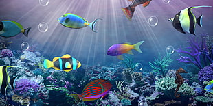 fish mobile game application HD wallpaper