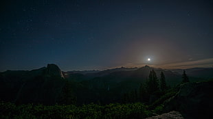 silhouette of trees, nature, forest, Moon, Yosemite Valley HD wallpaper