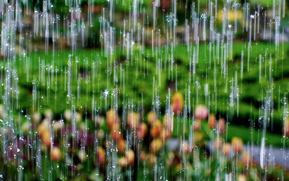 person showing a rain drop HD wallpaper